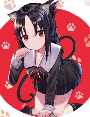 四宫辉夜,兽耳,猫耳,制服