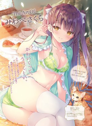 みわべさくら,bra,cleavage,胖次,黑丝