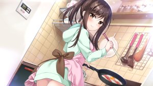 Oryou,二川晴,hibiki_works,围裙,连帽衫,长发,马尾辫,游戏CG