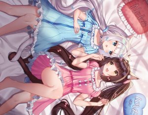 巧克力,香子兰,ネコぱら,兽耳,碧眼,脸红,茶发,猫娘,连衣裙,长发,双马尾,白发,黄色眼