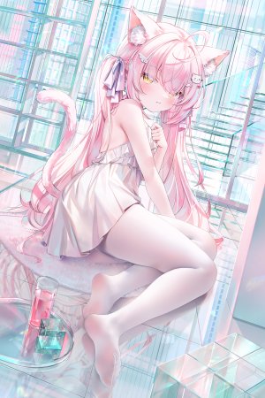 鬼針草,兽耳,连衣裙,猫耳,No-Bra,裤袜,白丝,粉毛,双马尾
