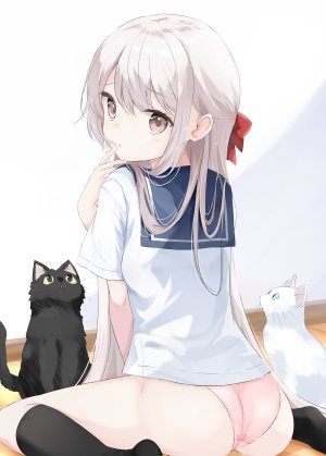 hamaken.,萝莉,猫,胖次,制服