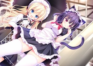 師走ほりお,兽耳,哥特式洛丽塔,萝裙,女仆,猫耳,掀裙,黑丝,雨伞