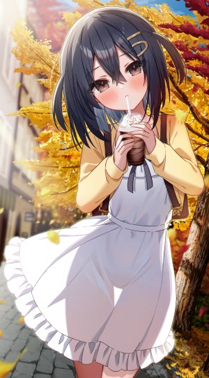 黒なまこ,连衣裙,萝莉,nopan,看穿