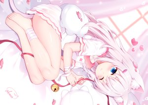 nomier,原创,兽耳,裸足,铃,脸红,猫娘,连衣裙,萝莉,signed