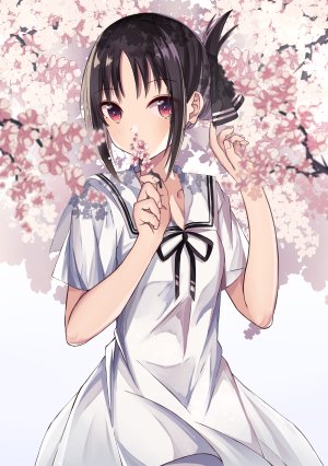 四宫辉夜,しぐれね,前发,黑发,脸红,樱花,连衣裙,holding,视线正对,红色眼,缎带,短发,single,白背景