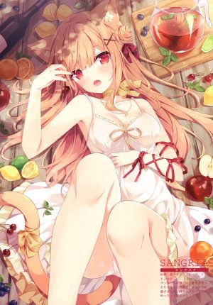 hoshi,兽耳,连衣裙,猫耳,No-Bra,胖次