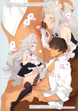 大槍葦人,少女騎士団,碧蓝航线,Z46,bottomless,女仆,短裙,丝袜,掀裙,censored