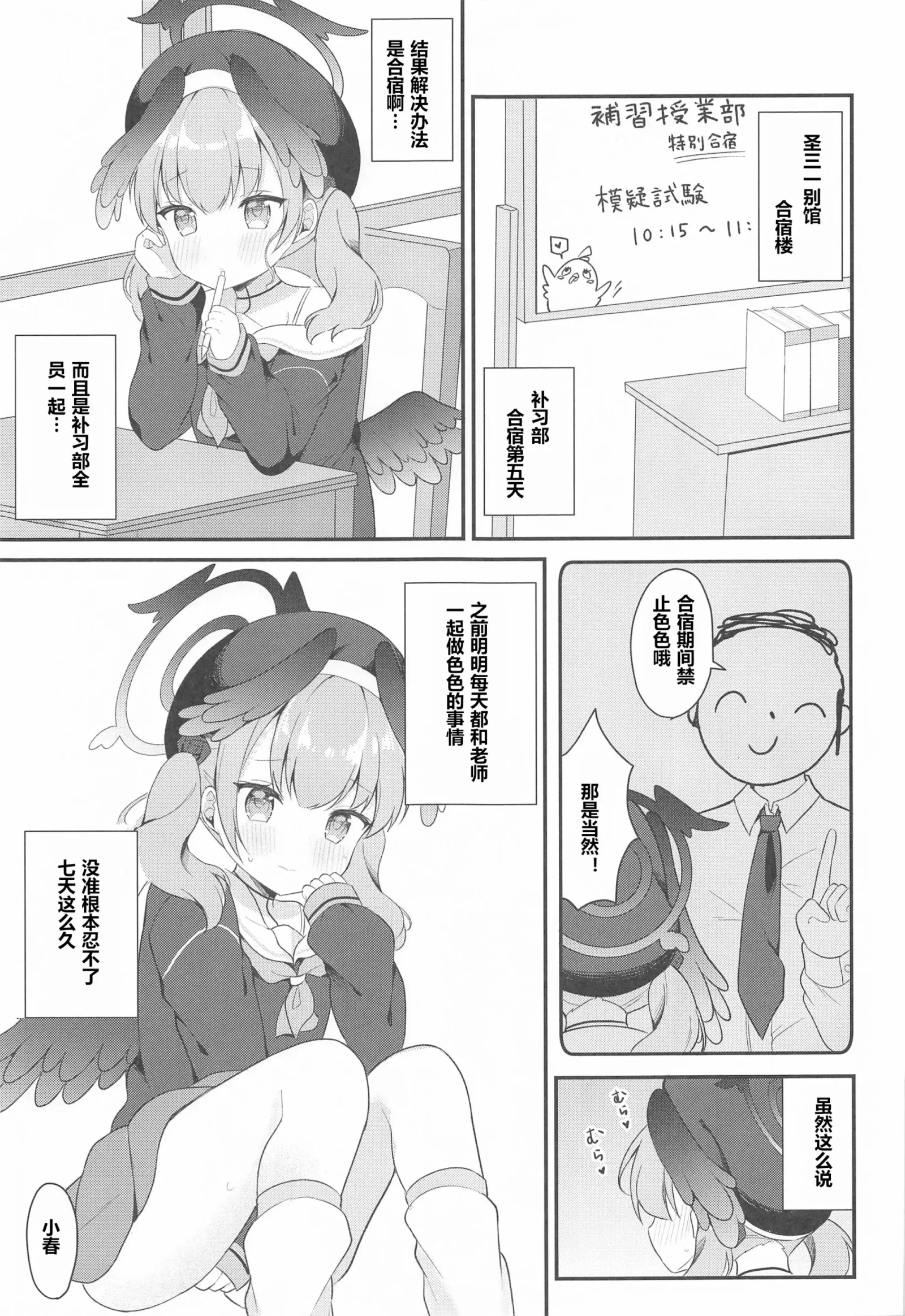 HB5081-P5