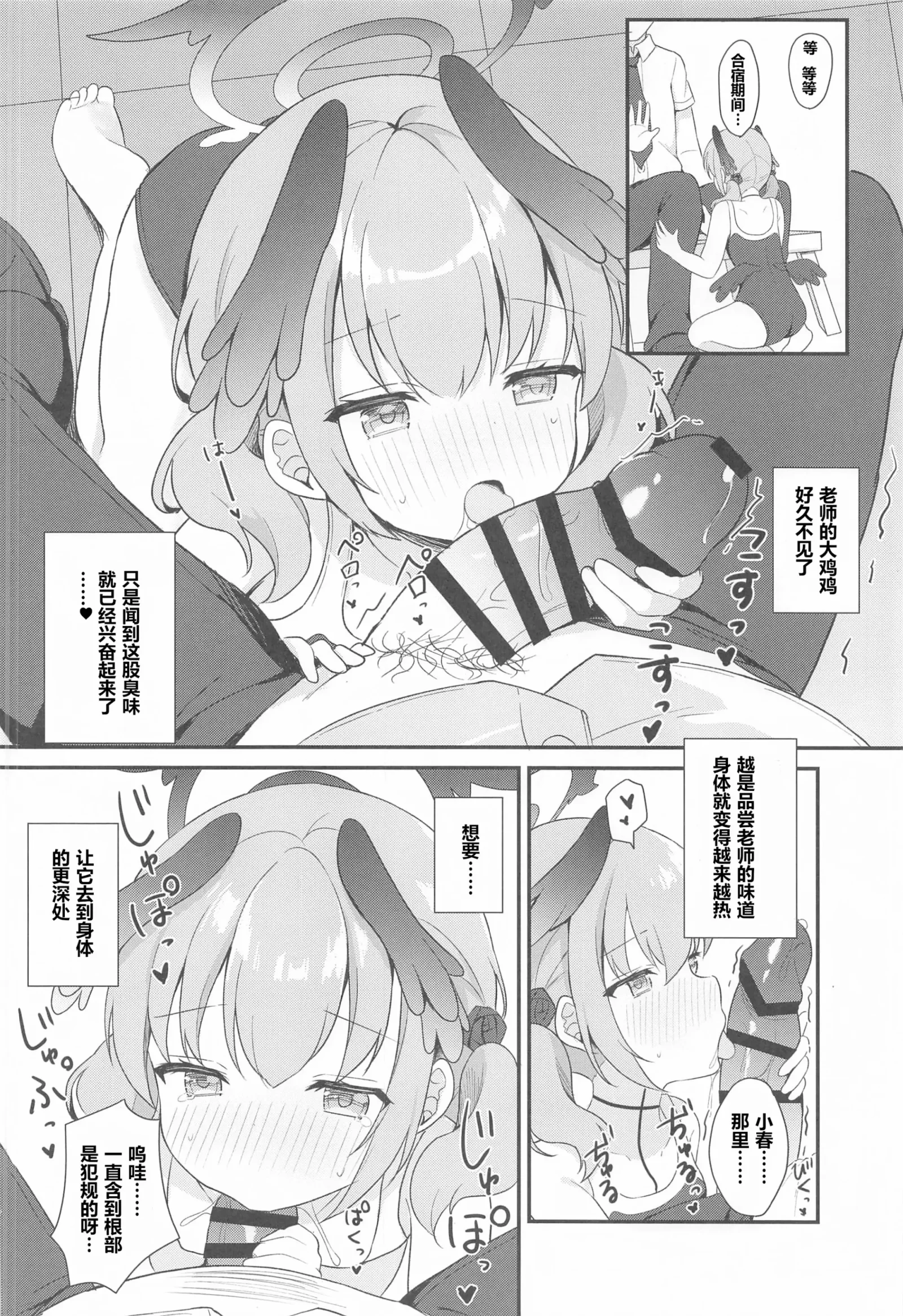 HB5081-P10